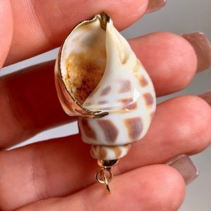 ⭐️ Gold Plated Shell ⭐️